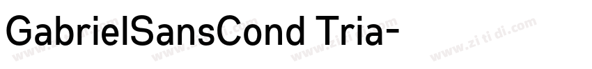 GabrielSansCond Tria字体转换 GabrielSansCond Tria字体转换